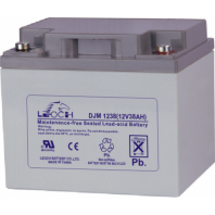 Аккумулятор LEOCH-DJM-1238 12В 38Ач 197x165x170 мм Обратная (-+)