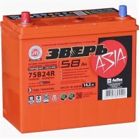Аккумулятор ЗВЕРЬ ASIA 75B24R 6СТ-58.1 12В 58Ач 600CCA 238x129x225 мм Прямая (+-)
